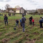 Alle Pflanzung 2 Inter